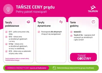Porównanie taryf: G11, G12, G12w, G13 i nowość G13s. Wybierz najlepszą taryfę dla siebie.
